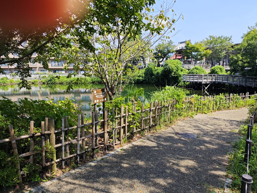 神奈川県秦野市にある今泉名水桜公園