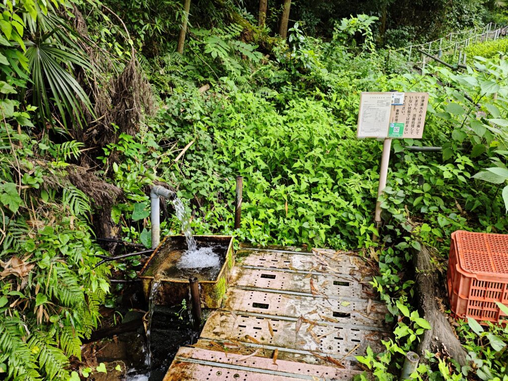 神奈川県秦野市にある谷津湧水の写真。湧水スポット。